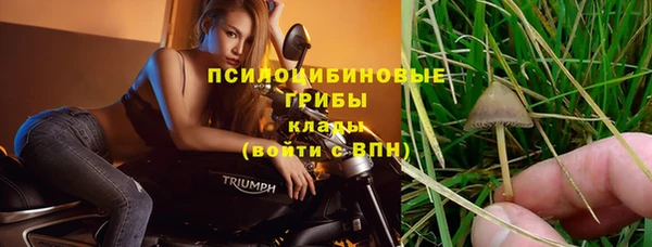 каннабис Алексин