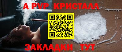 шишки Донской
