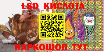 гашик Дубна