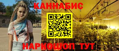 гашик Дубна