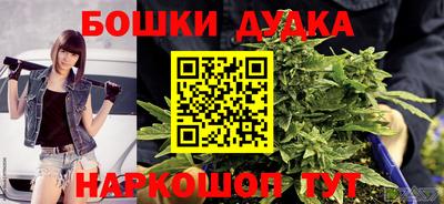 шишки Донской