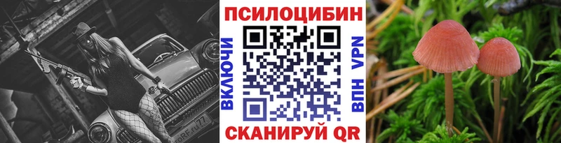 Галлюциногенные грибы MAGIC MUSHROOMS  где можно купить наркотик  Лесосибирск 