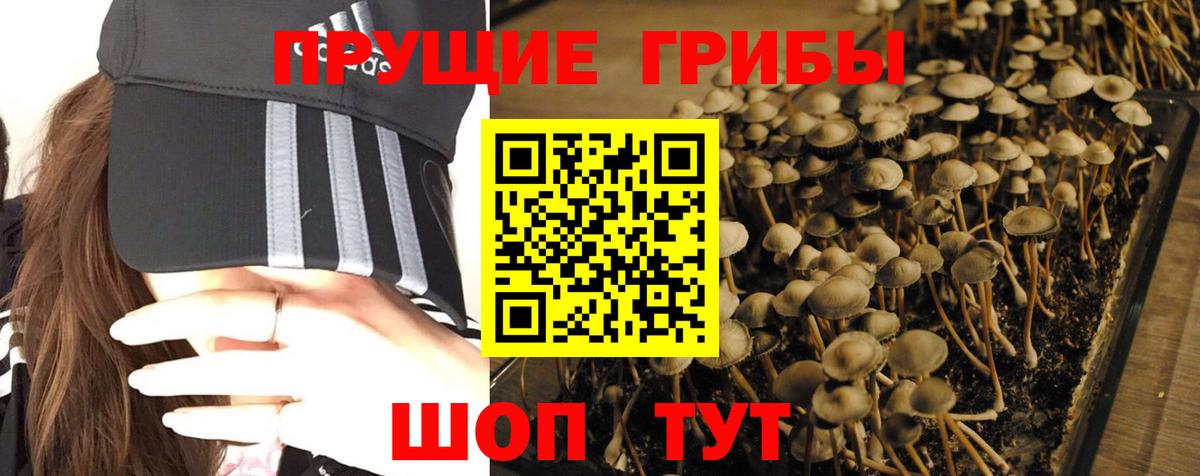 Псилоцибиновые грибы Magic Shrooms Лесосибирск