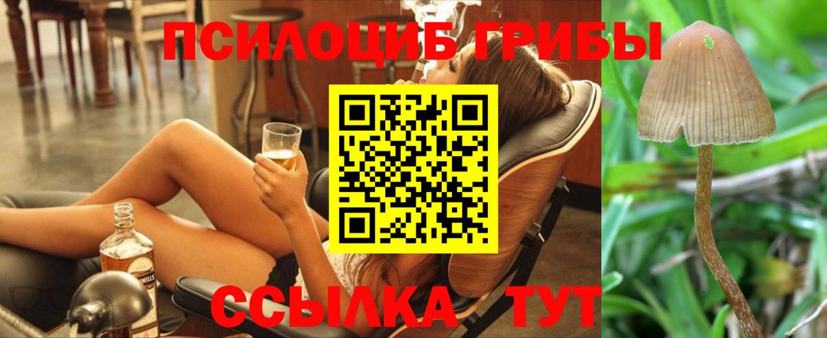 Псилоцибиновые грибы мицелий  Вход с VPN  Лесосибирск 